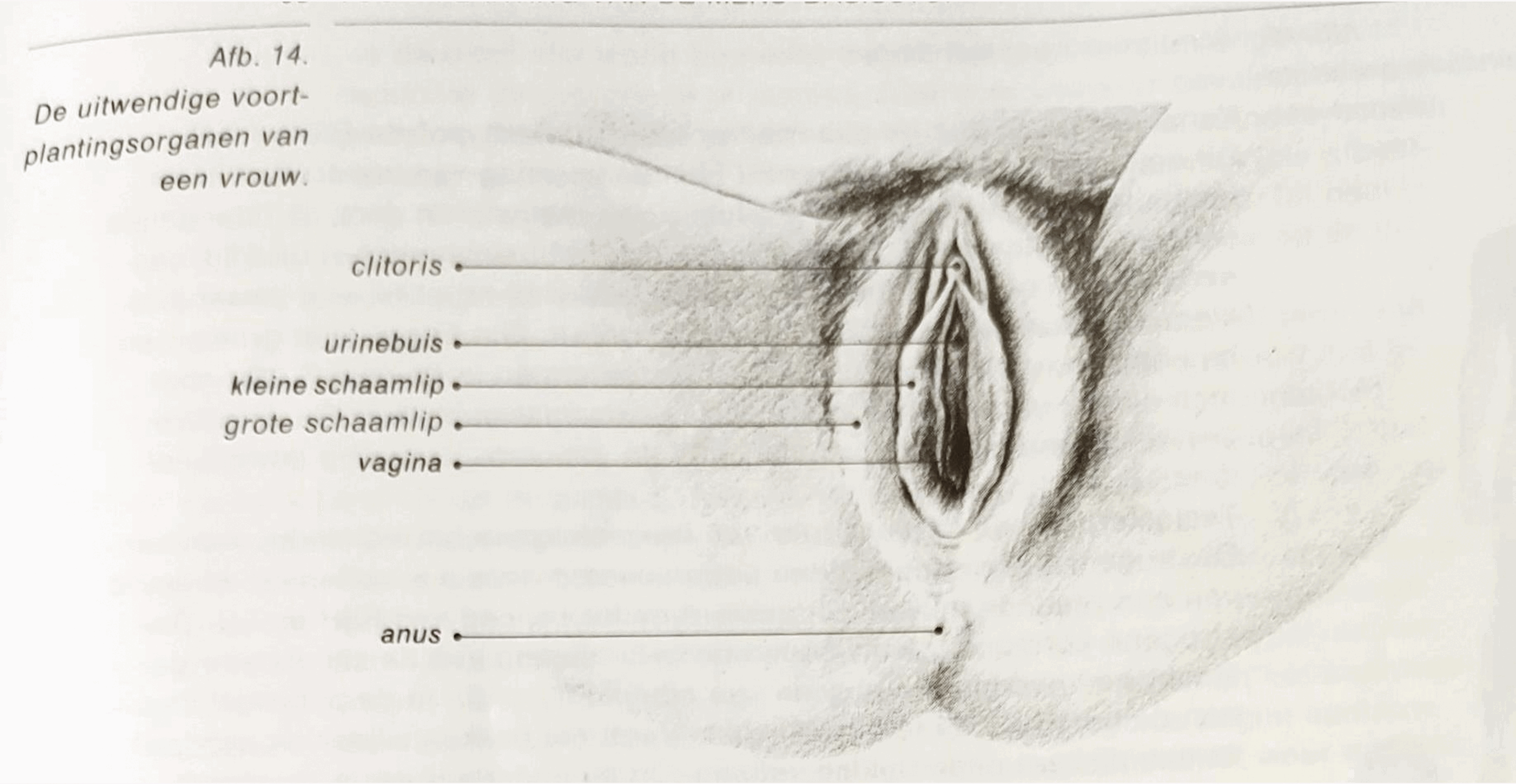 image of Figuur 13 en 14.