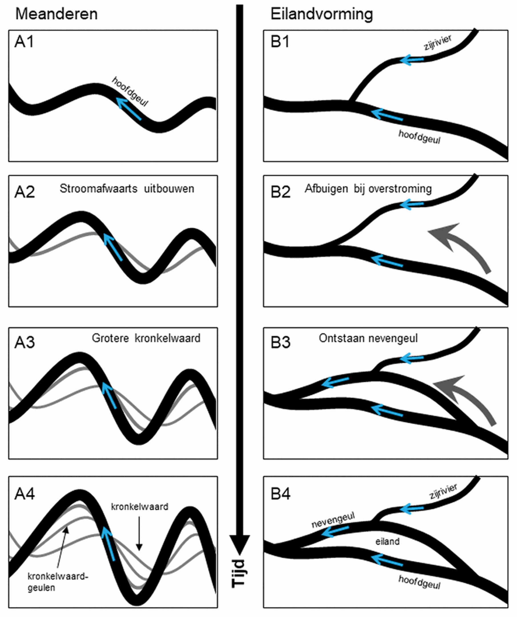 image of Afbeelding 8